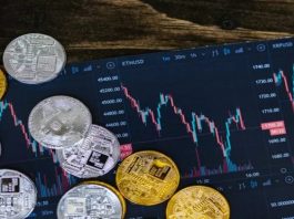 número de investidores em cripto