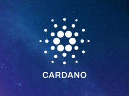 parceria entre Cardano e Serpro